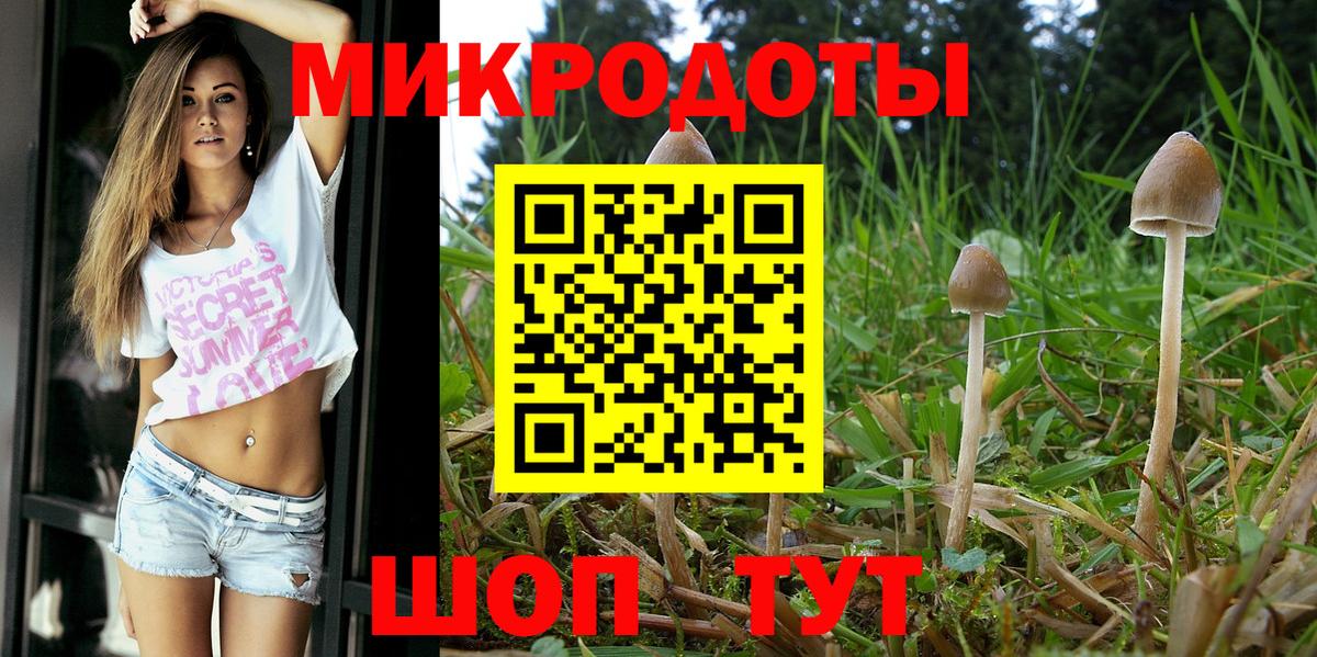 Галлюциногенные грибы Psilocybe  Вход с VPN  Нижнекамск 