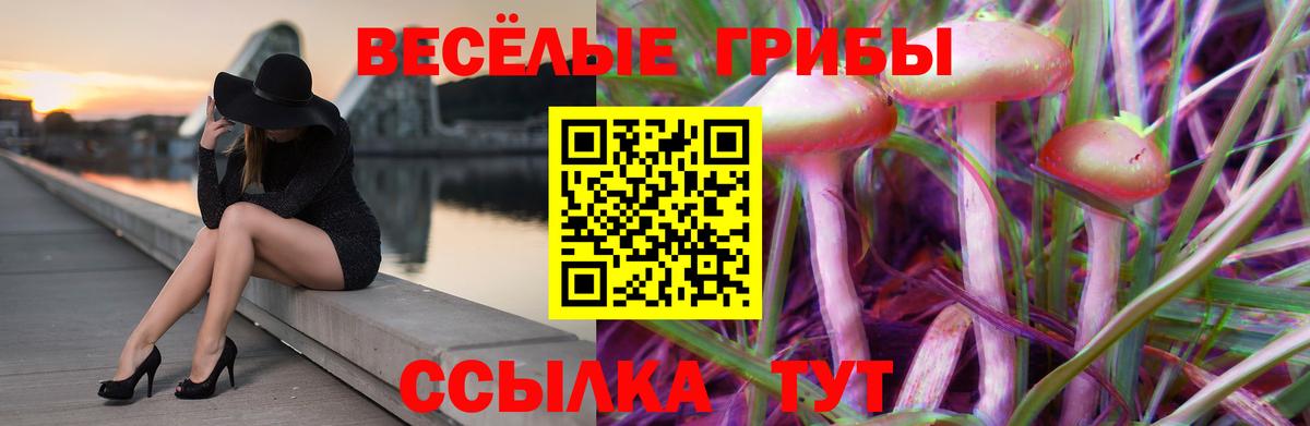 Галлюциногенные грибы GOLDEN TEACHER Нижнекамск